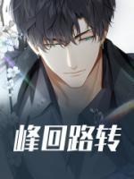 峰回路转翻译