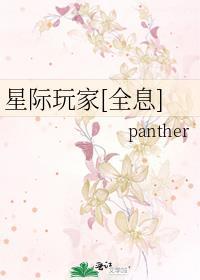 星际玩家是什么