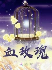 他的心尖吻全文免费阅读