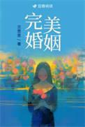 完美婚姻 免费