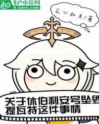 原神关于休伯利安号坠毁提瓦特这件事情